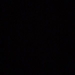 Meet your Posher, Cheyenne